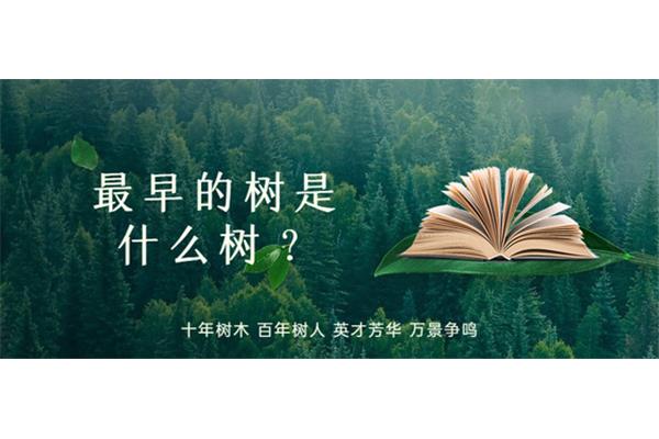 什么百年树人