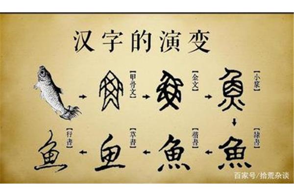 汉字的演变历史