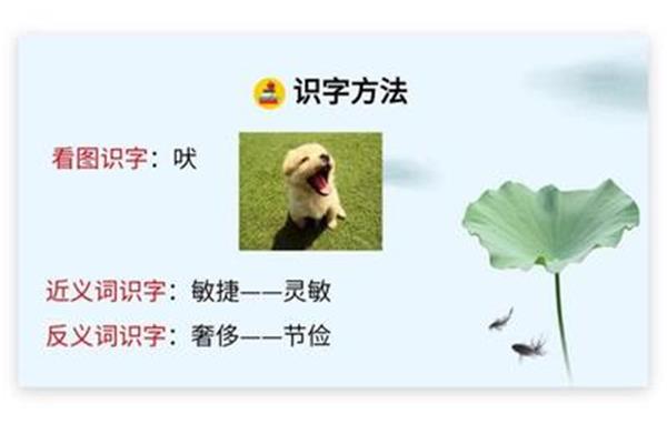 节俭的近义词