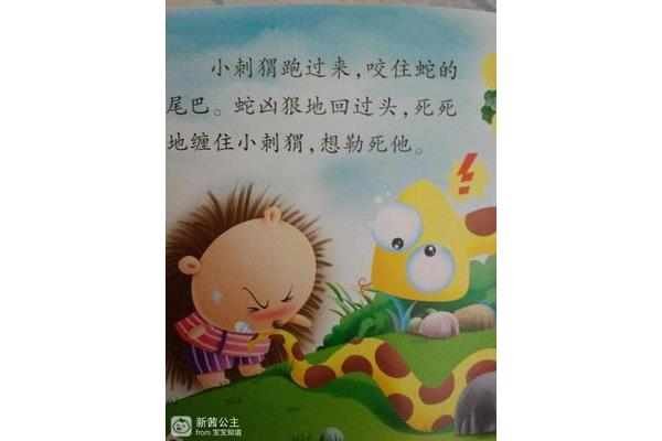 勇敢的小刺猬