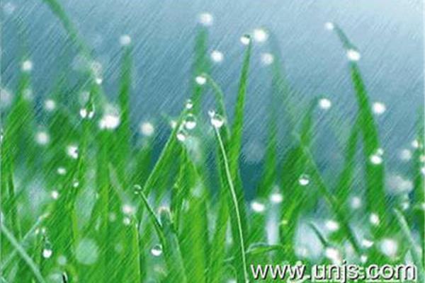 赞美春雨的句子