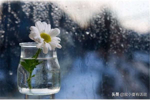 夏天的雨怎么形容