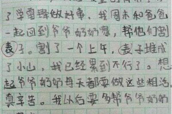 100日记