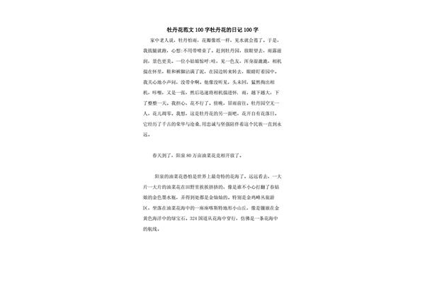 100日记