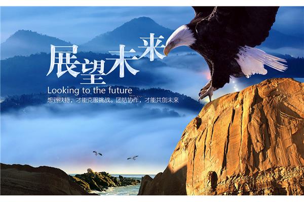 对公司的展望