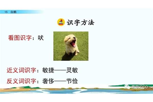 节俭的近义词