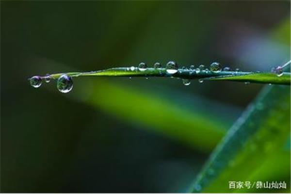 夏天的雨怎么形容