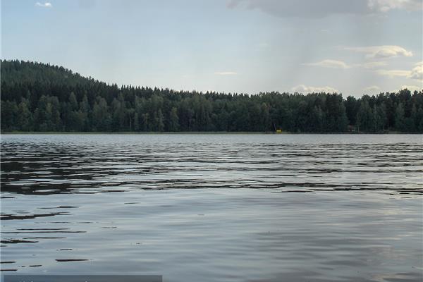 平静的湖水