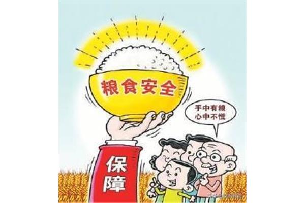 保障粮食安全