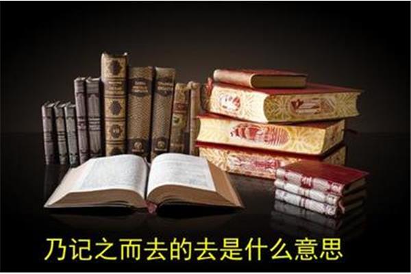 乃记之而去