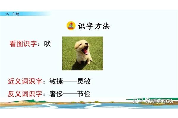 节俭的近义词