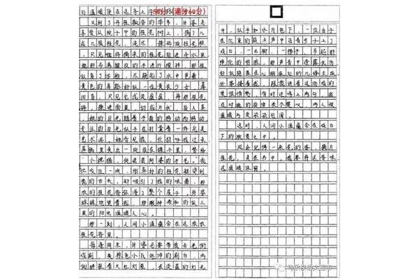 人间小温作文