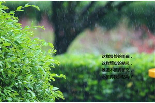 赞美春雨的句子
