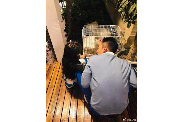 世上只有爸妈好