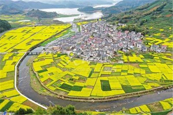小说乡村春色