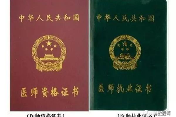 医师执业证书号码