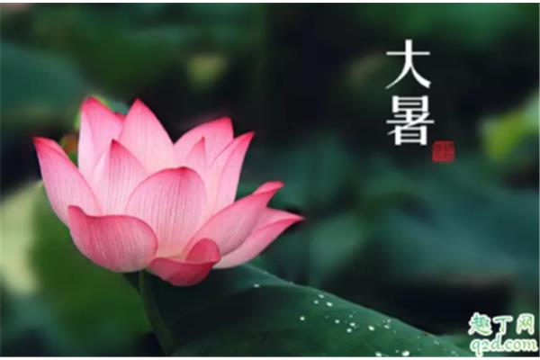 夏天的雨怎么形容