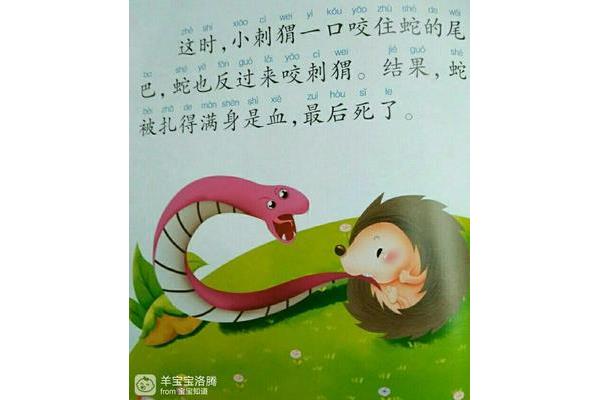勇敢的小刺猬