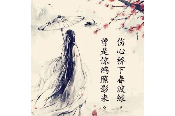 独自喝酒的诗句