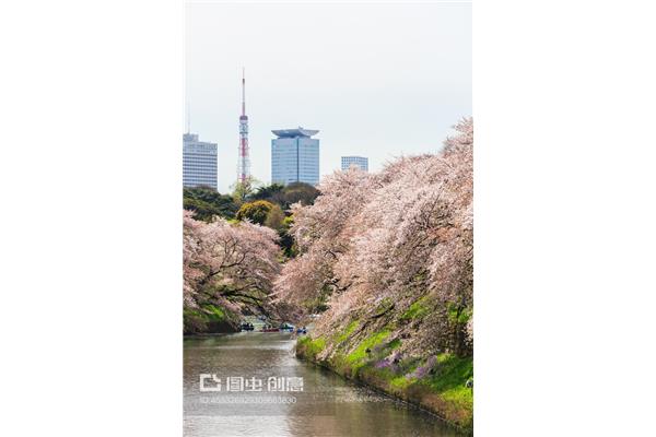 japanis