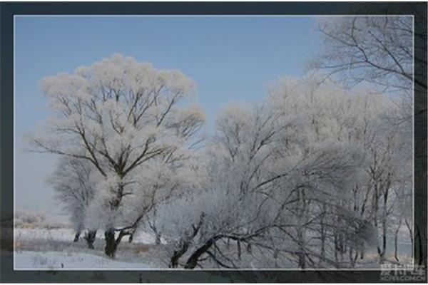 冬天的美景