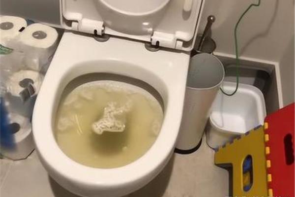 乡镇人大工作总结