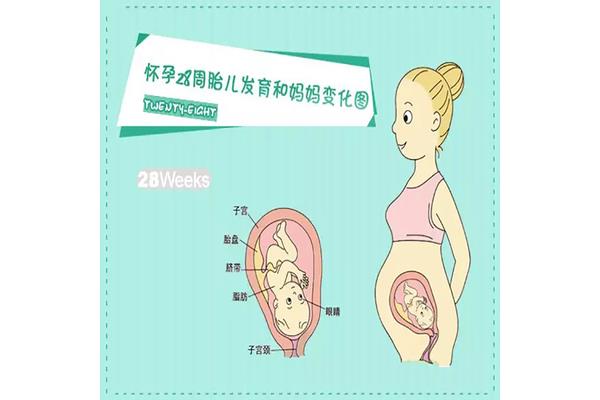 胎位不正怎么办