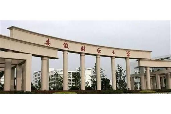 合肥大学有哪些