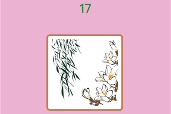 带花的四字成语