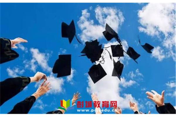考研志愿填报规则
