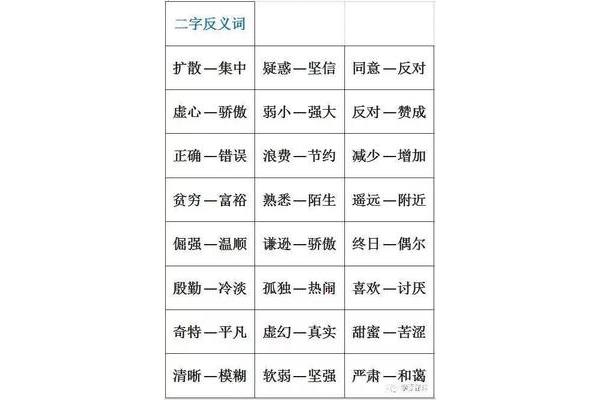 坚信的近义词
