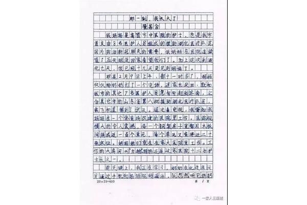 如果什么作文