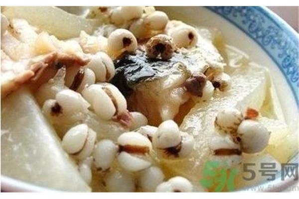 薏米怎么煮