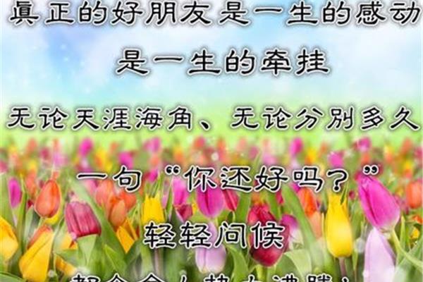 一生的好朋友