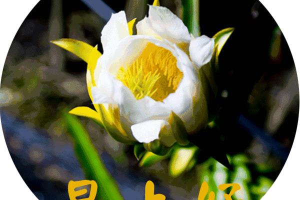 健康平安快乐