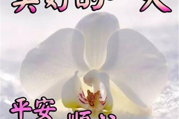 早上问候短语