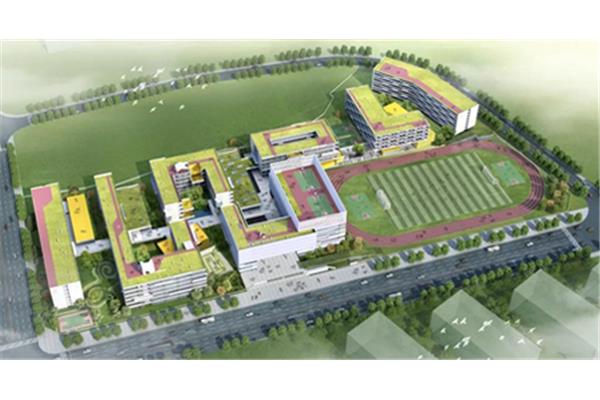 学校发展规划