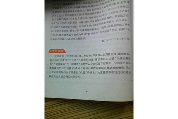 狗猫鼠的主要内容