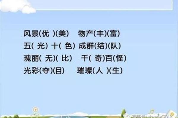 指导的近义词
