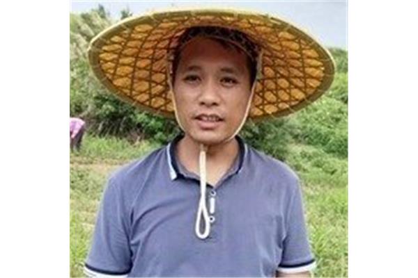 农民伯伯下乡记