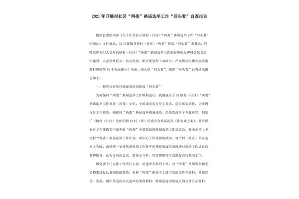 回头看自查报告
