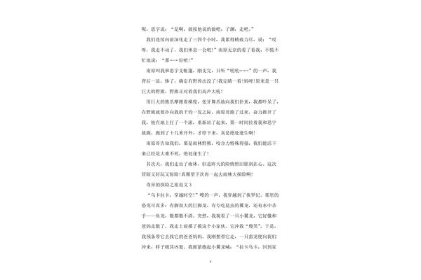 探险的作文