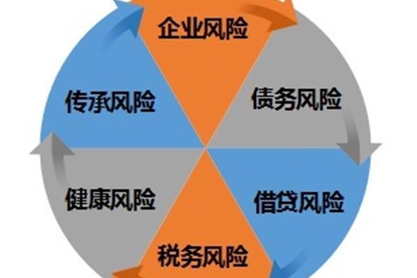 什么是财务风险