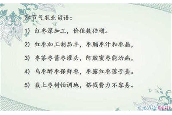农业谚语有哪些