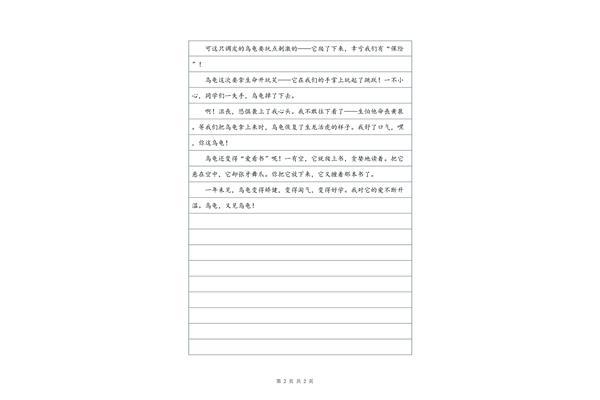 乌龟的作文