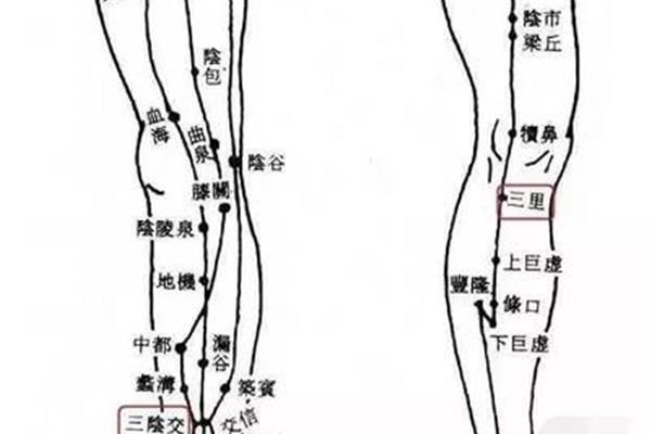 为什么湿气重