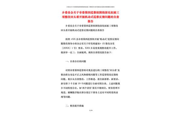 回头看自查报告