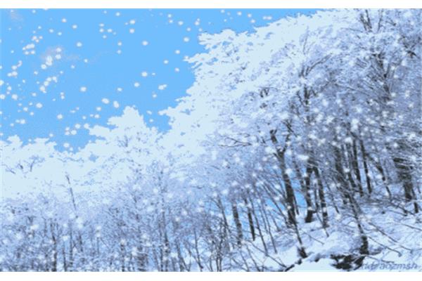 雪花飘飘洒洒