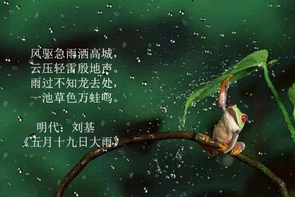 关于雨的古诗