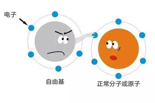 反应的意思